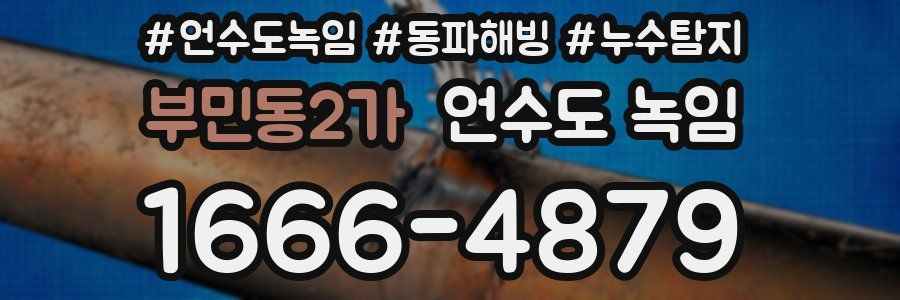 부민동2가 언수도 녹임