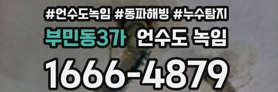 부민동3가 언수도 녹임