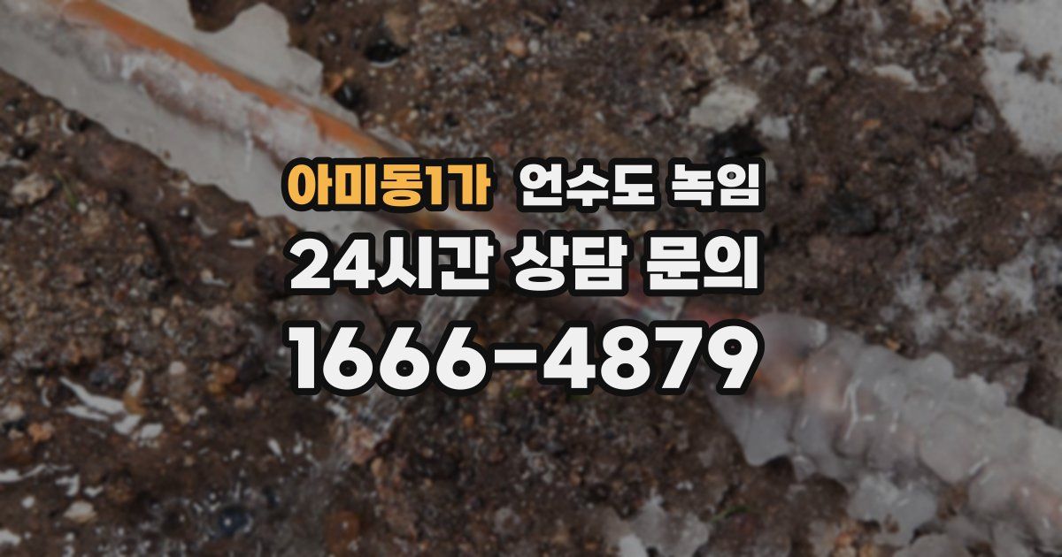 아미동1가 언수도 녹임