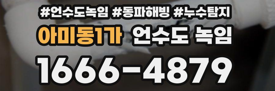 아미동1가 언수도 녹임