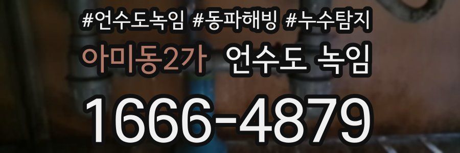 아미동2가 언수도 녹임