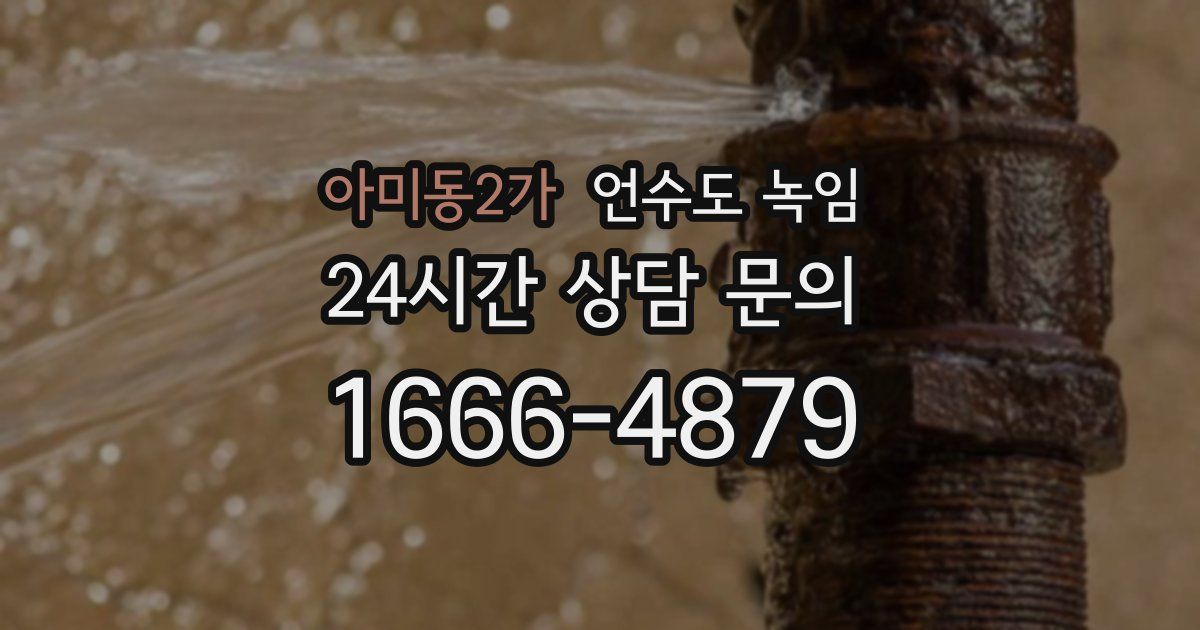 아미동2가 언수도 녹임