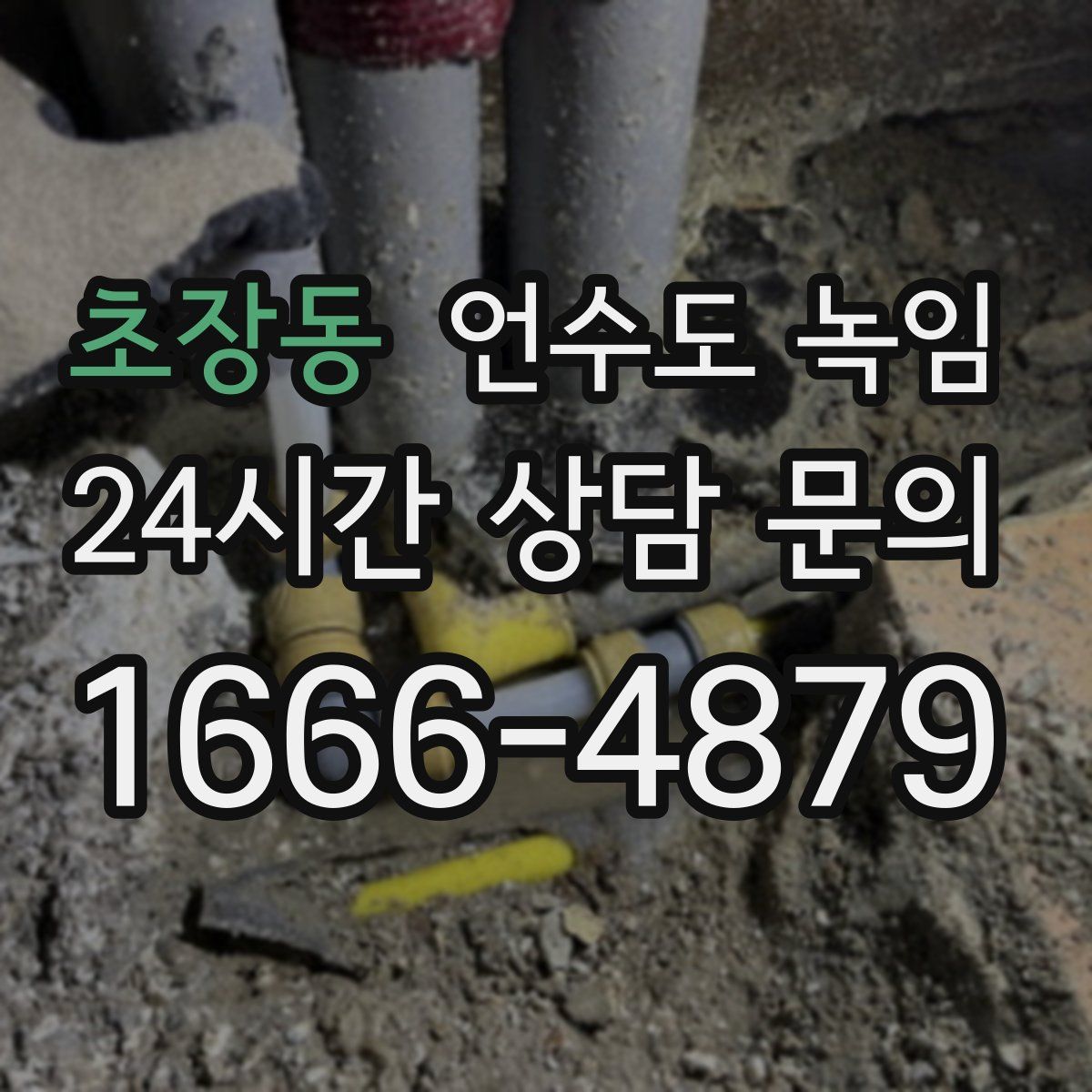 초장동 언수도 녹임