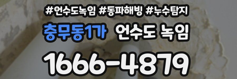 충무동1가 언수도 녹임