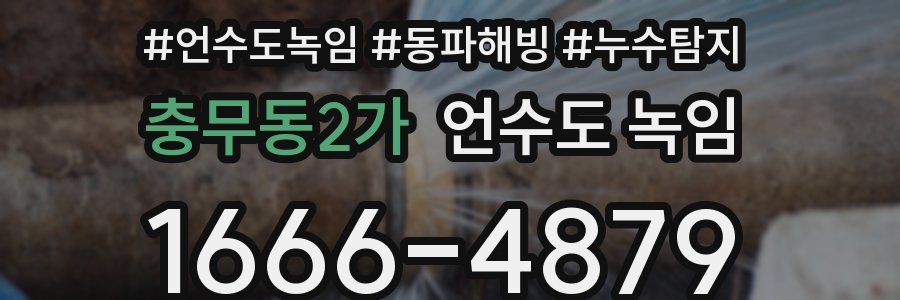충무동2가 언수도 녹임