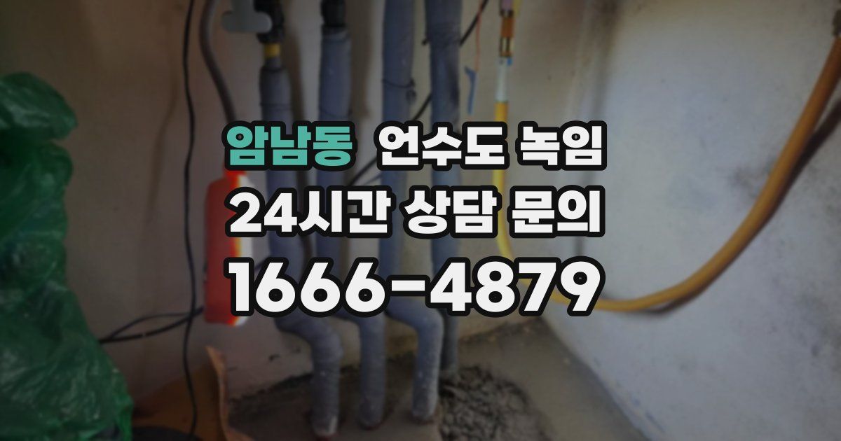 암남동 언수도 녹임