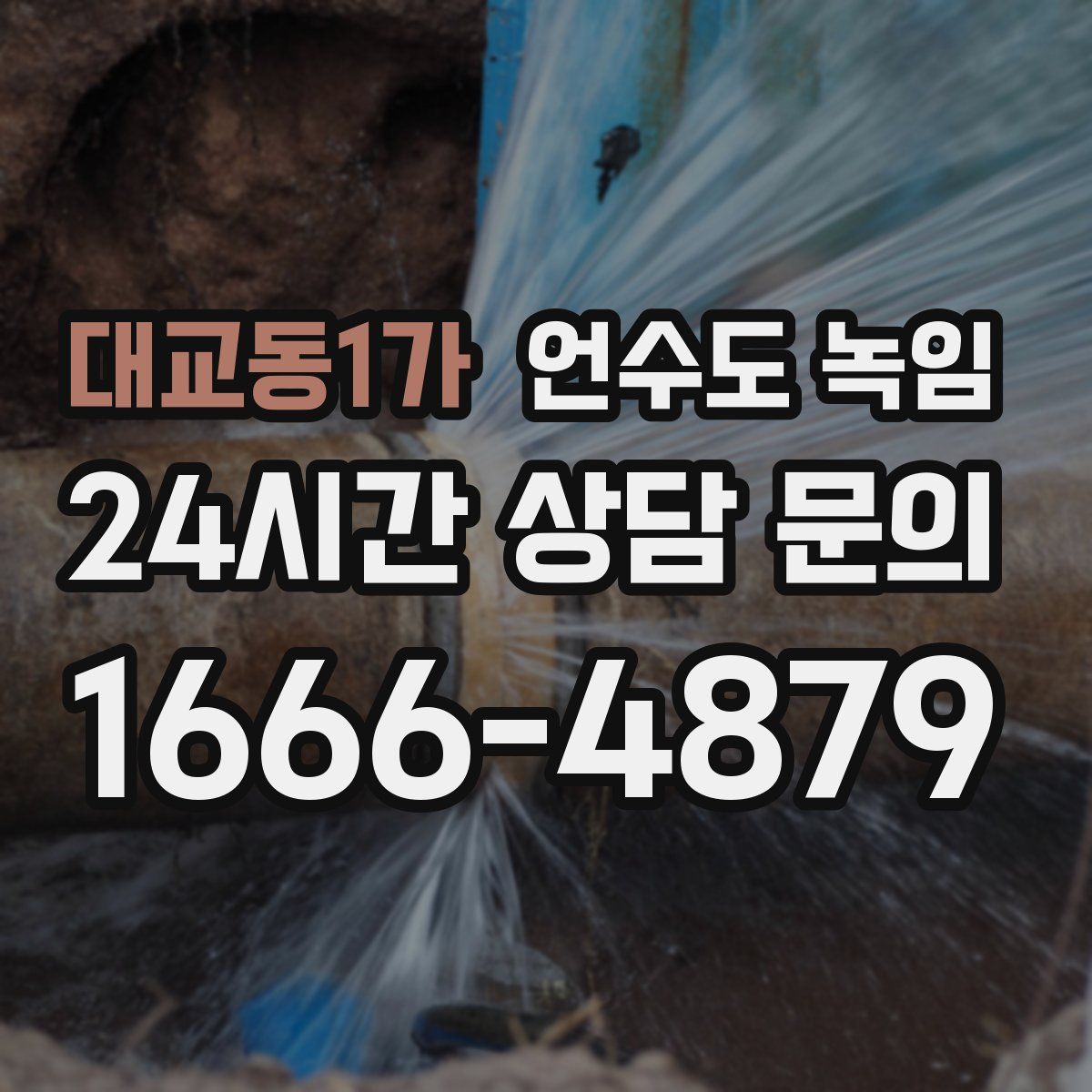 대교동1가 언수도 녹임