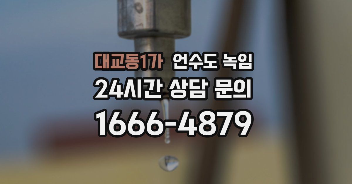 대교동1가 언수도 녹임