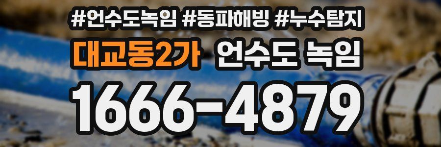 대교동2가 언수도 녹임
