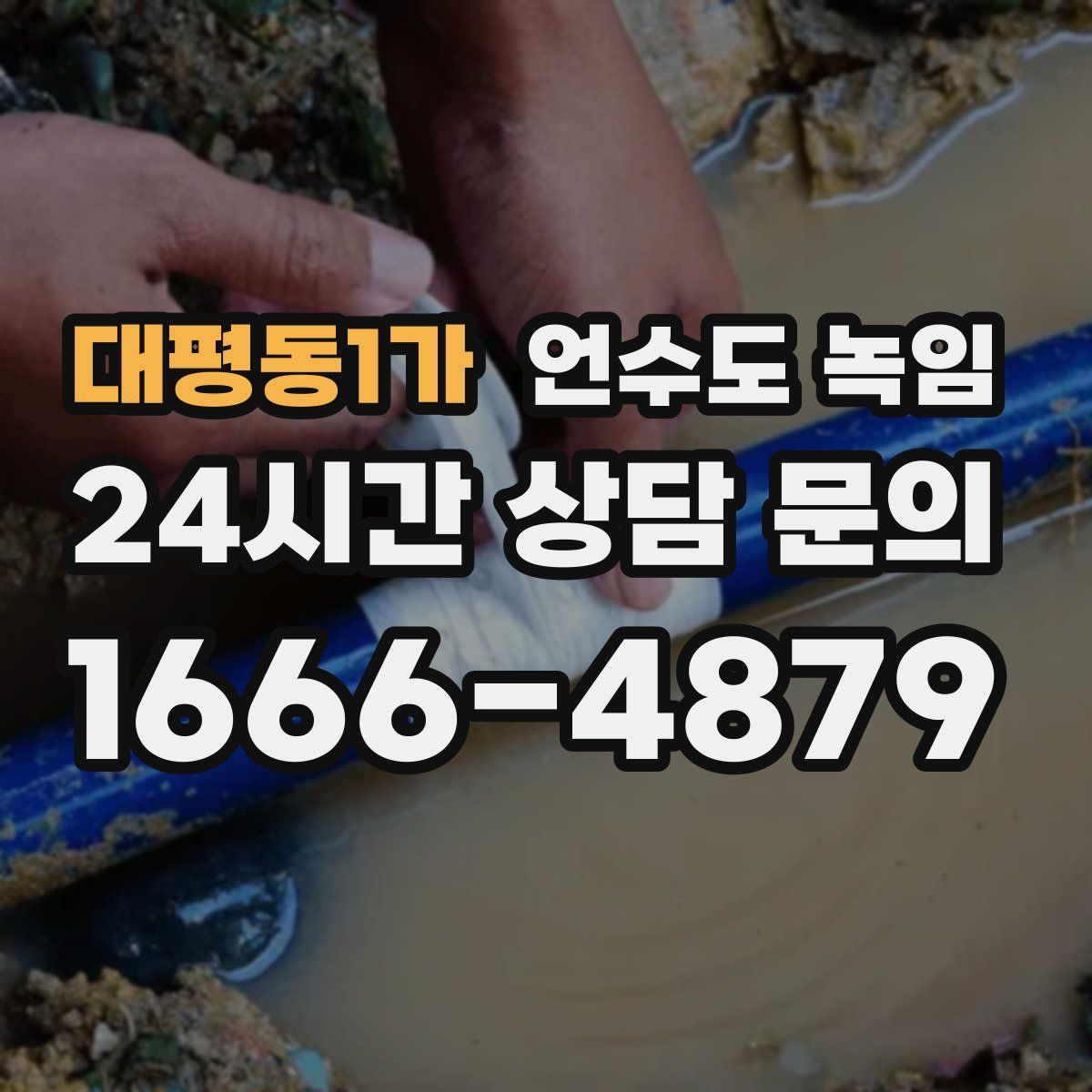 대평동1가 언수도 녹임