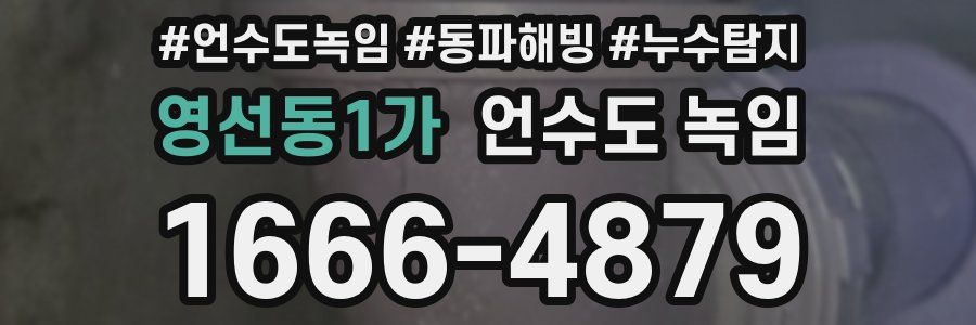 영선동1가 언수도 녹임