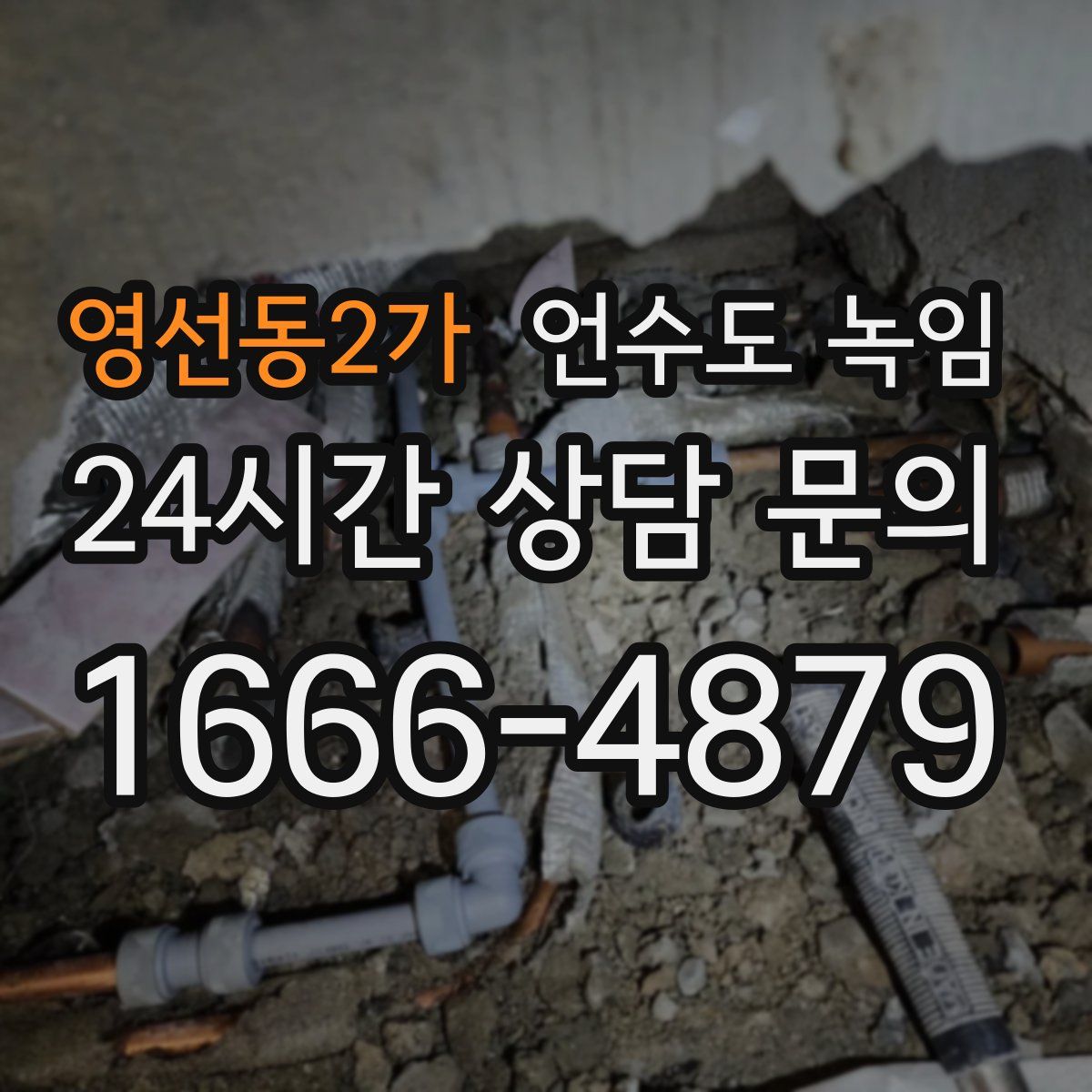 영선동2가 언수도 녹임