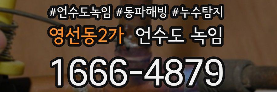 영선동2가 언수도 녹임