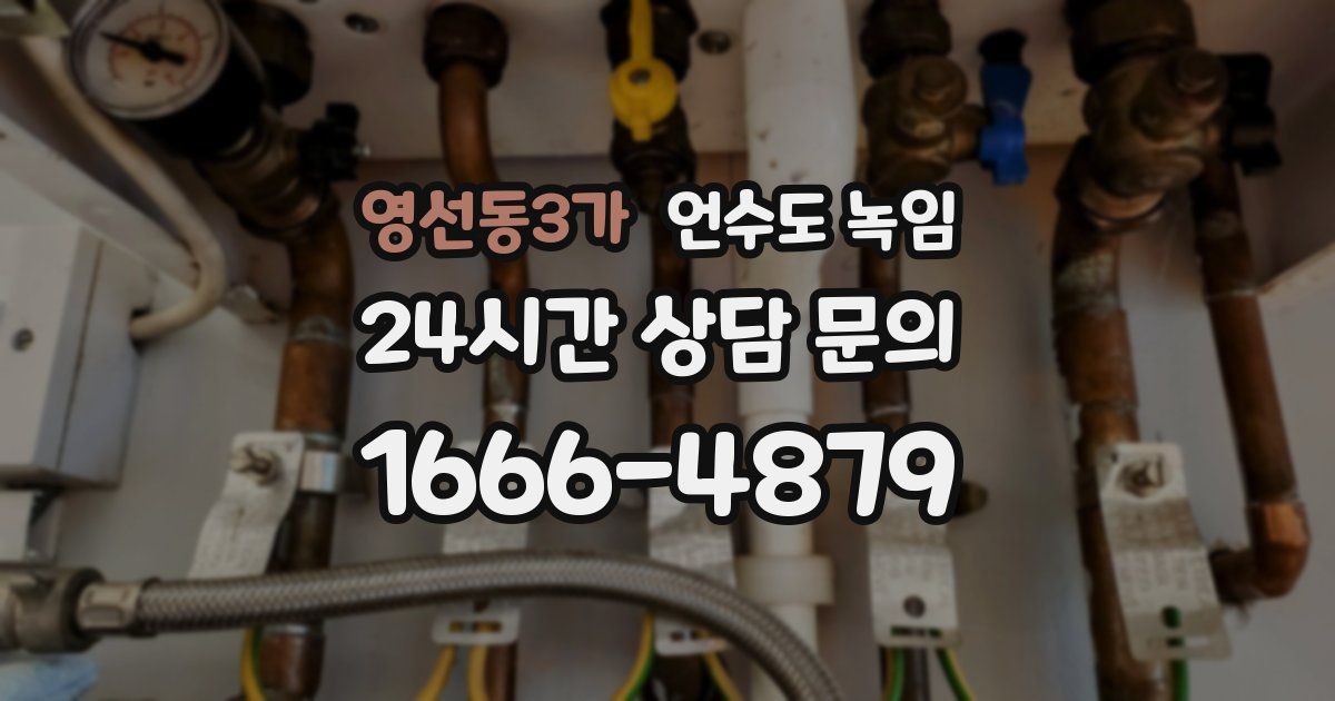 영선동3가 언수도 녹임