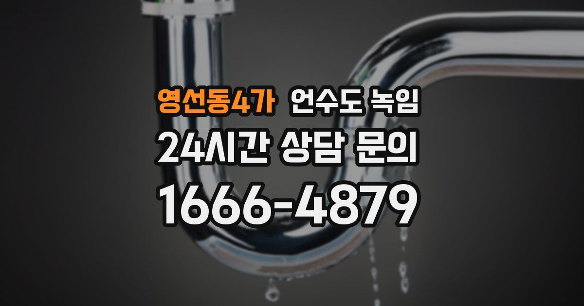 영선동4가 언수도 녹임