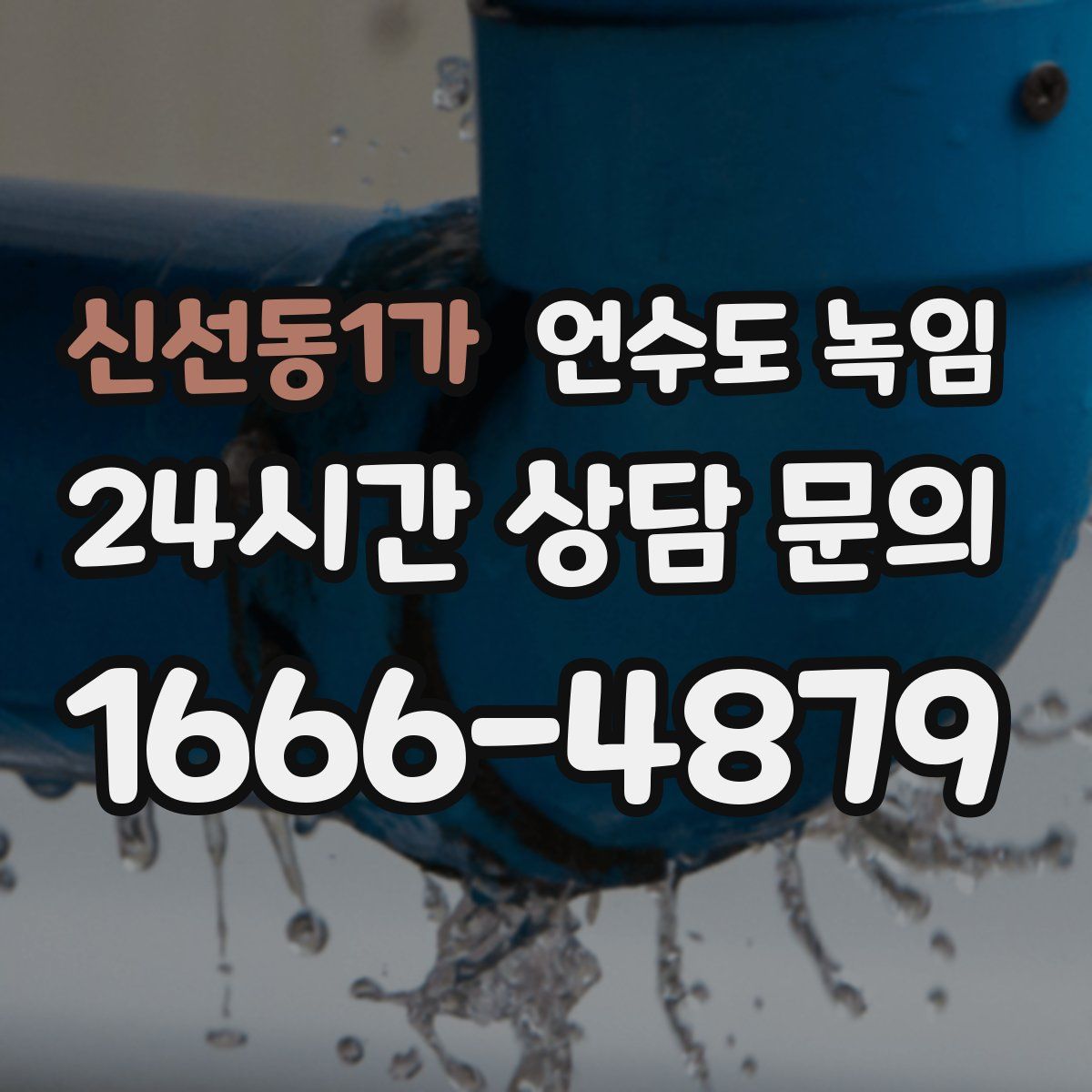 신선동1가 언수도 녹임