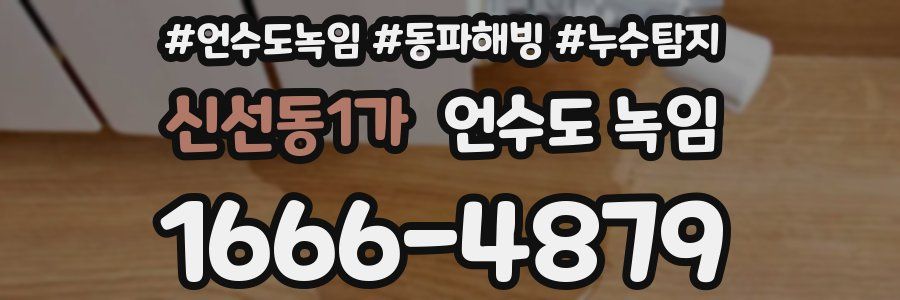 신선동1가 언수도 녹임