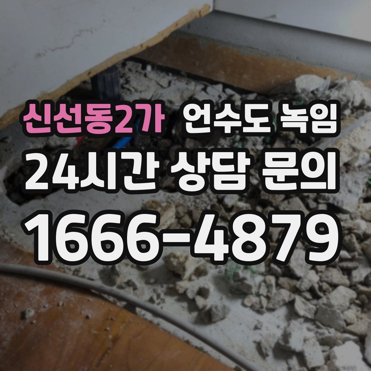 신선동2가 언수도 녹임