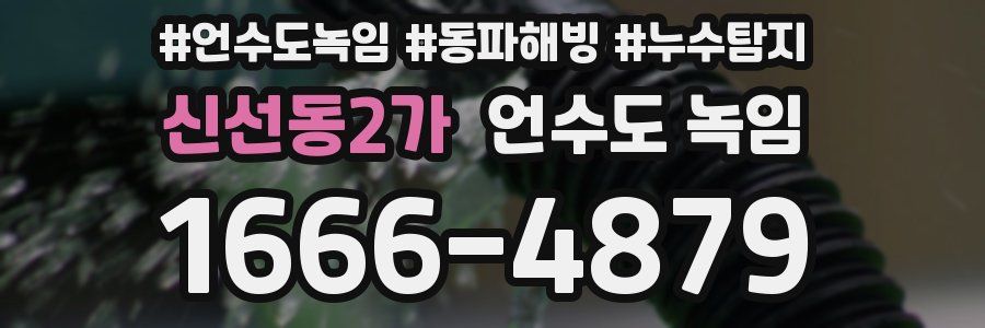 신선동2가 언수도 녹임