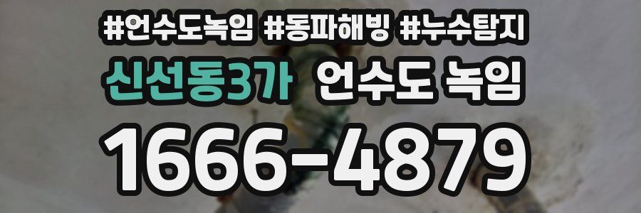 신선동3가 언수도 녹임