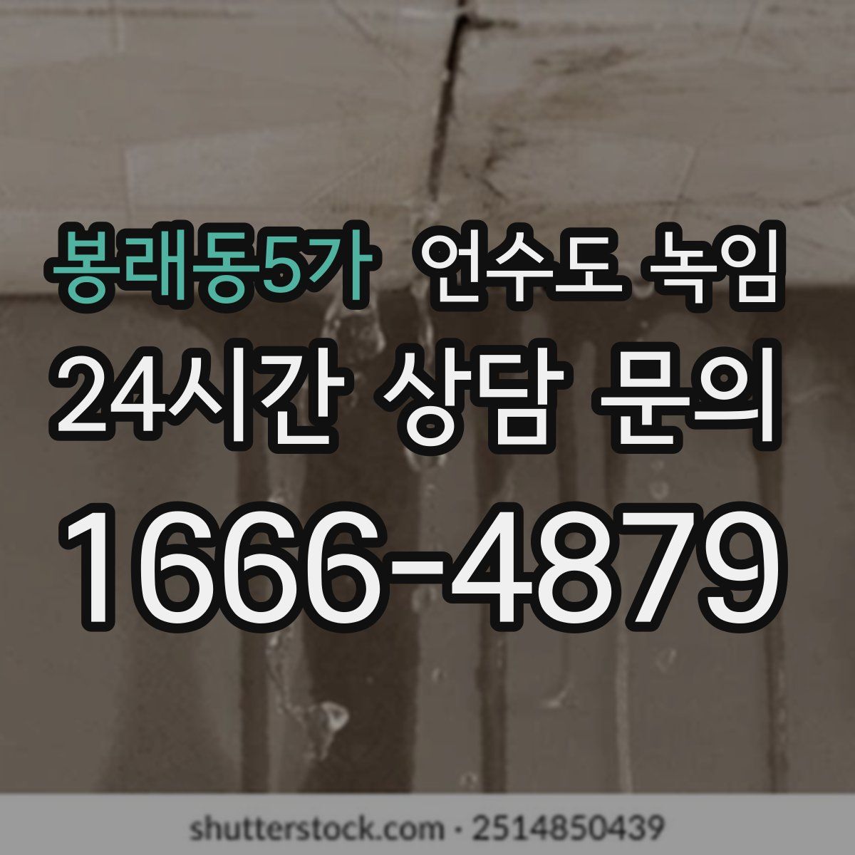 봉래동5가 언수도 녹임