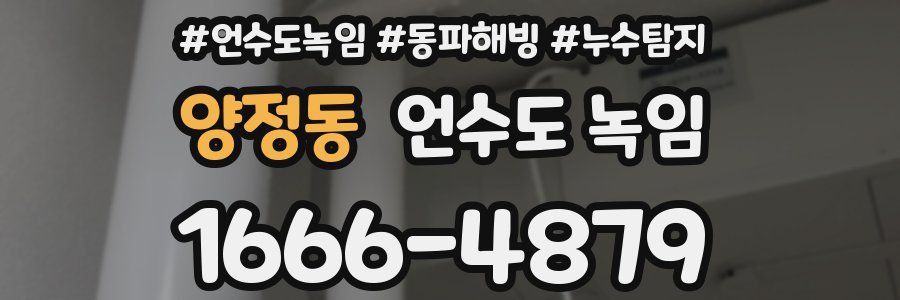 양정동 언수도 녹임