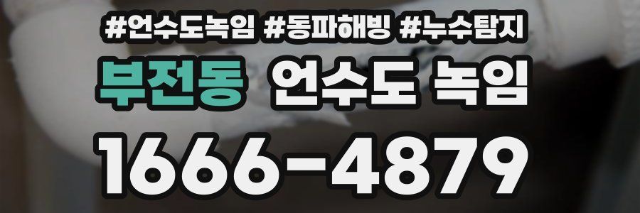 부전동 언수도 녹임