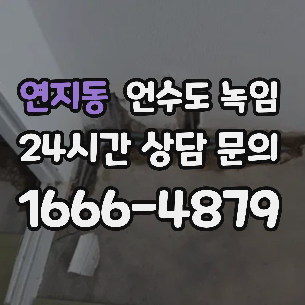 연지동 언수도 녹임