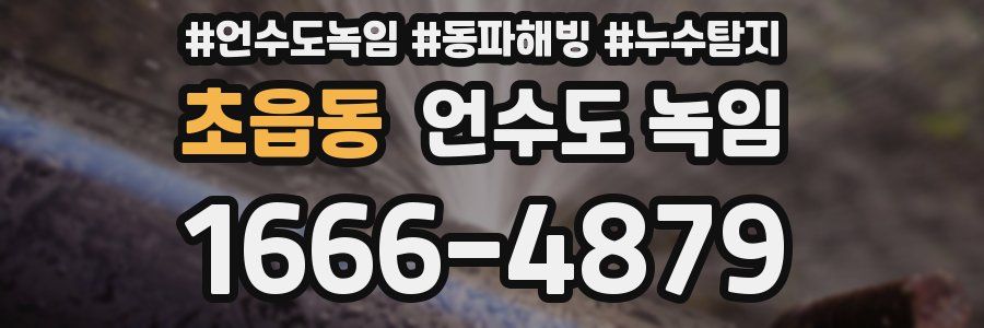 초읍동 언수도 녹임
