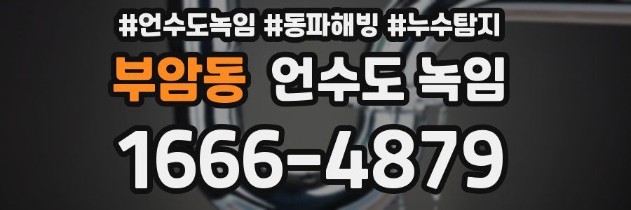 부암동 언수도 녹임