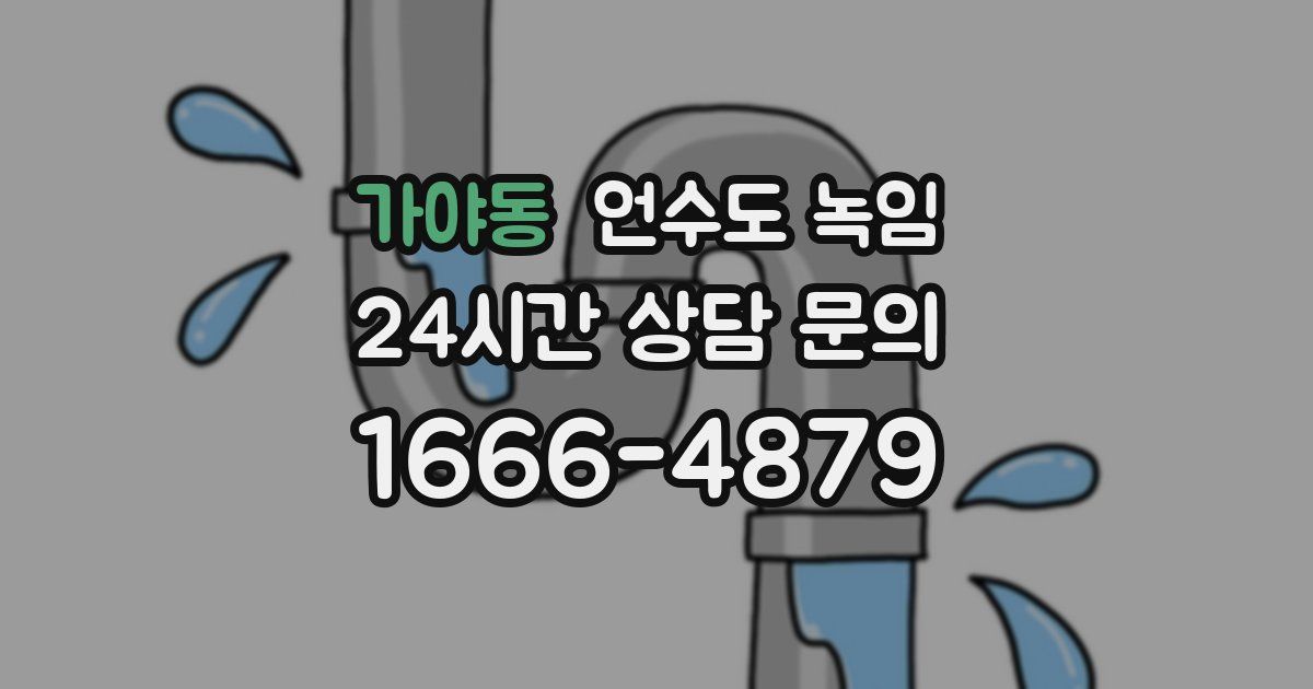 가야동 언수도 녹임