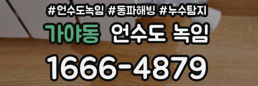 가야동 언수도 녹임