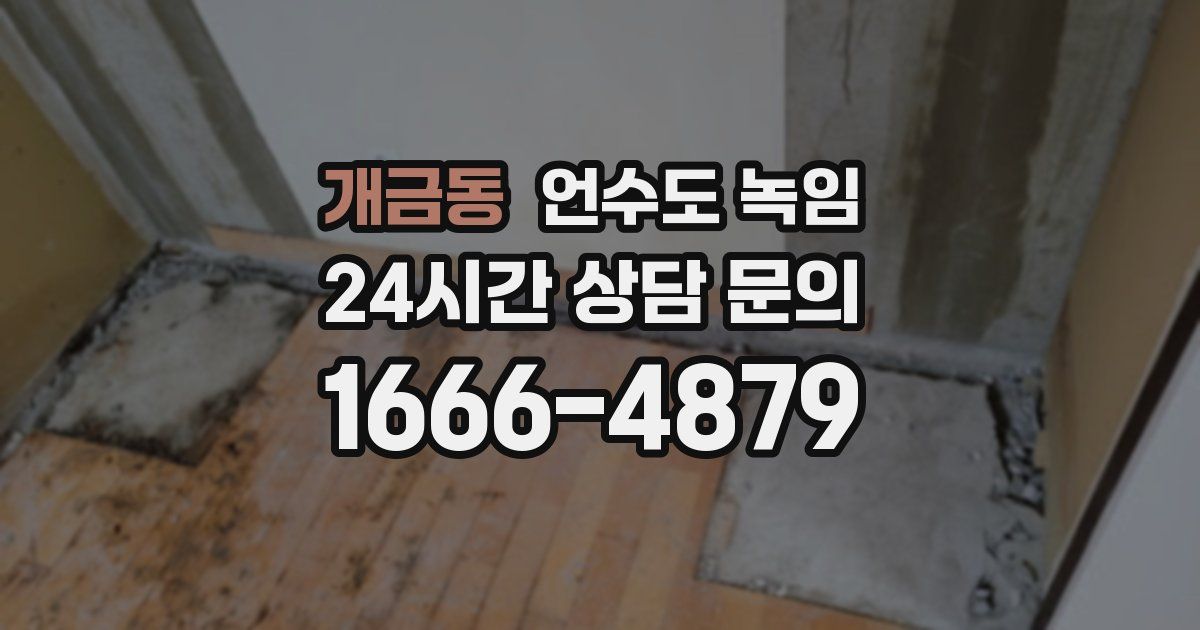 개금동 언수도 녹임