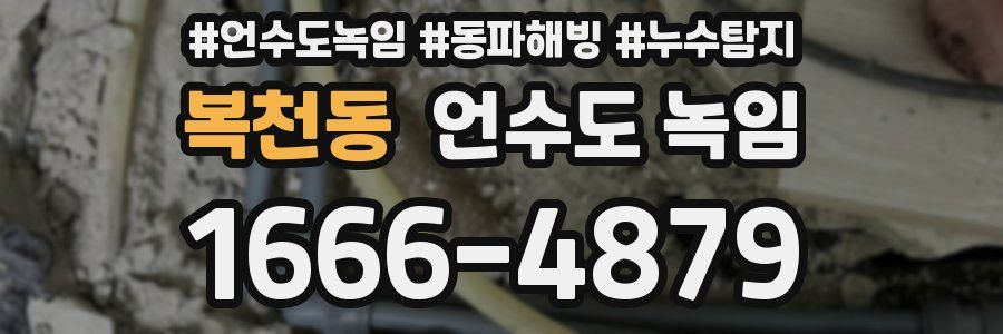 복천동 언수도 녹임