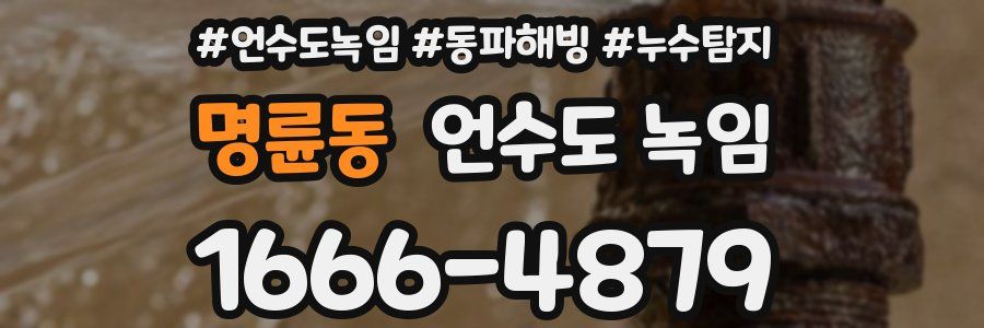 명륜동 언수도 녹임