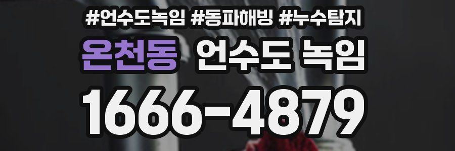 온천동 언수도 녹임