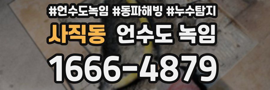 사직동 언수도 녹임