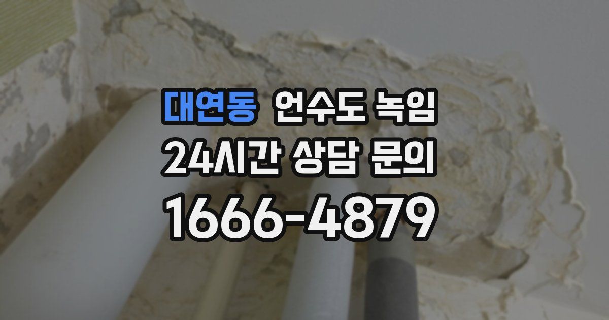 대연동 언수도 녹임