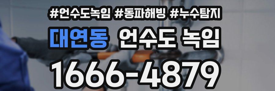 대연동 언수도 녹임