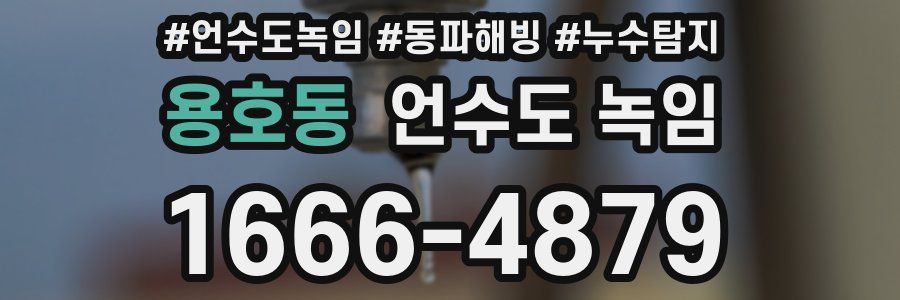 용호동 언수도 녹임