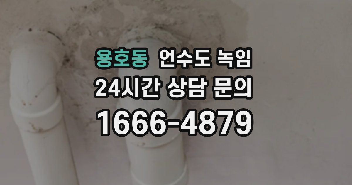 용호동 언수도 녹임