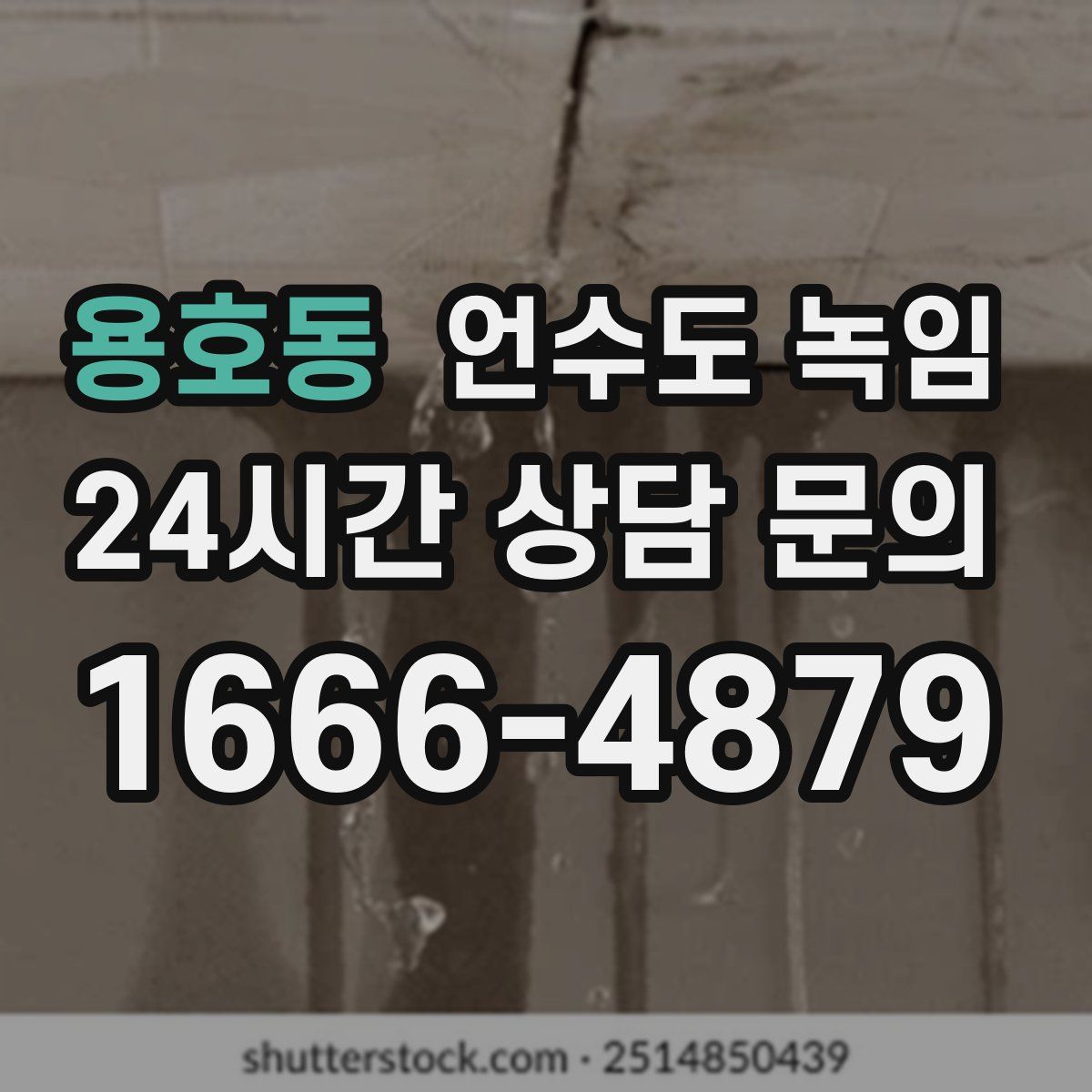 용호동 언수도 녹임