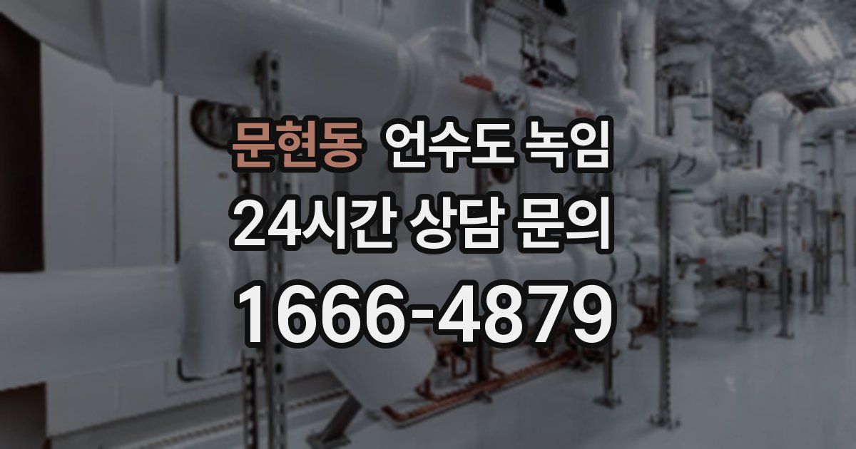 문현동 언수도 녹임