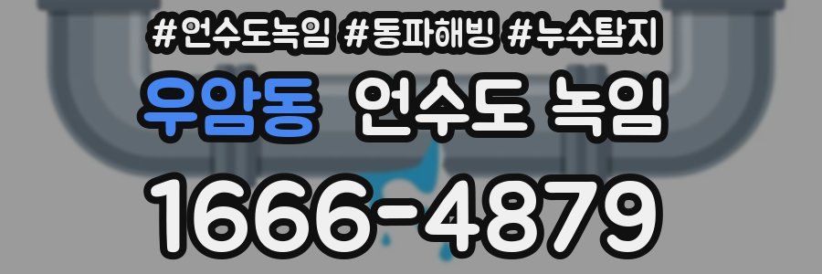 우암동 언수도 녹임