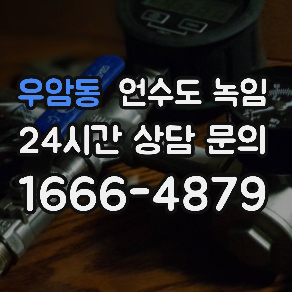 우암동 언수도 녹임