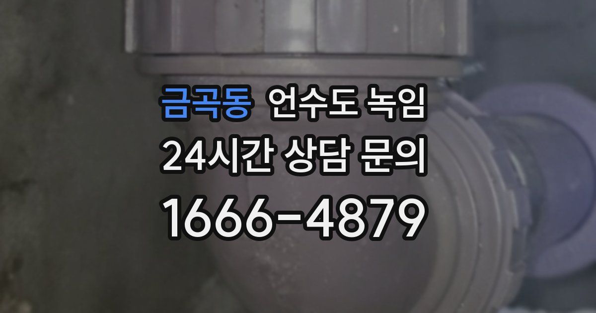 금곡동 언수도 녹임