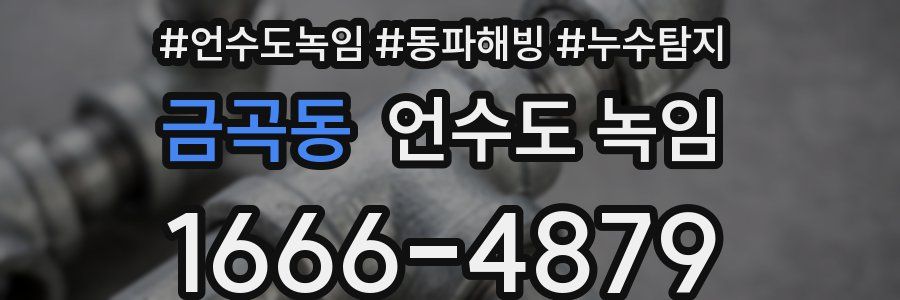 금곡동 언수도 녹임