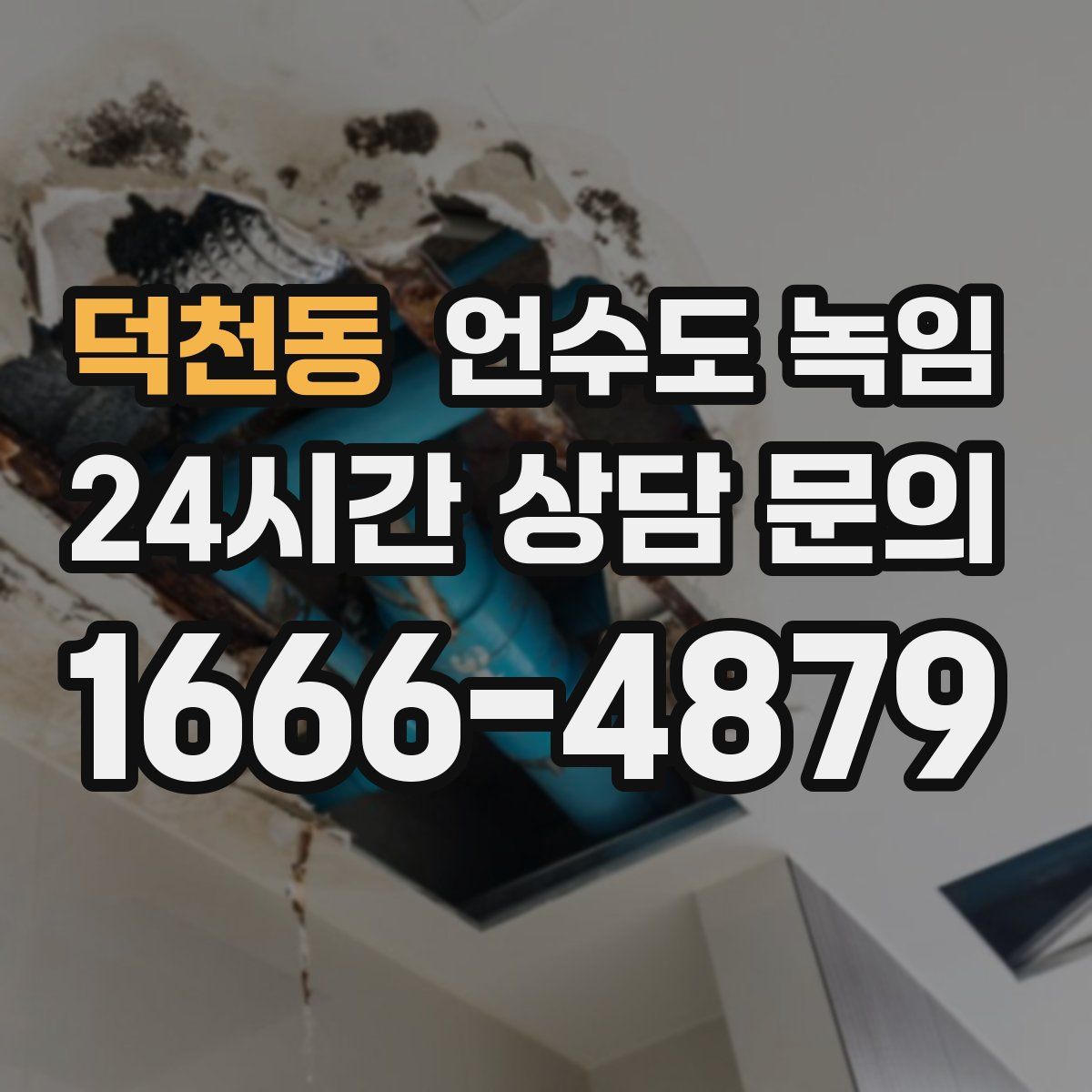 덕천동 언수도 녹임