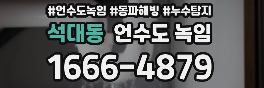 석대동 언수도 녹임