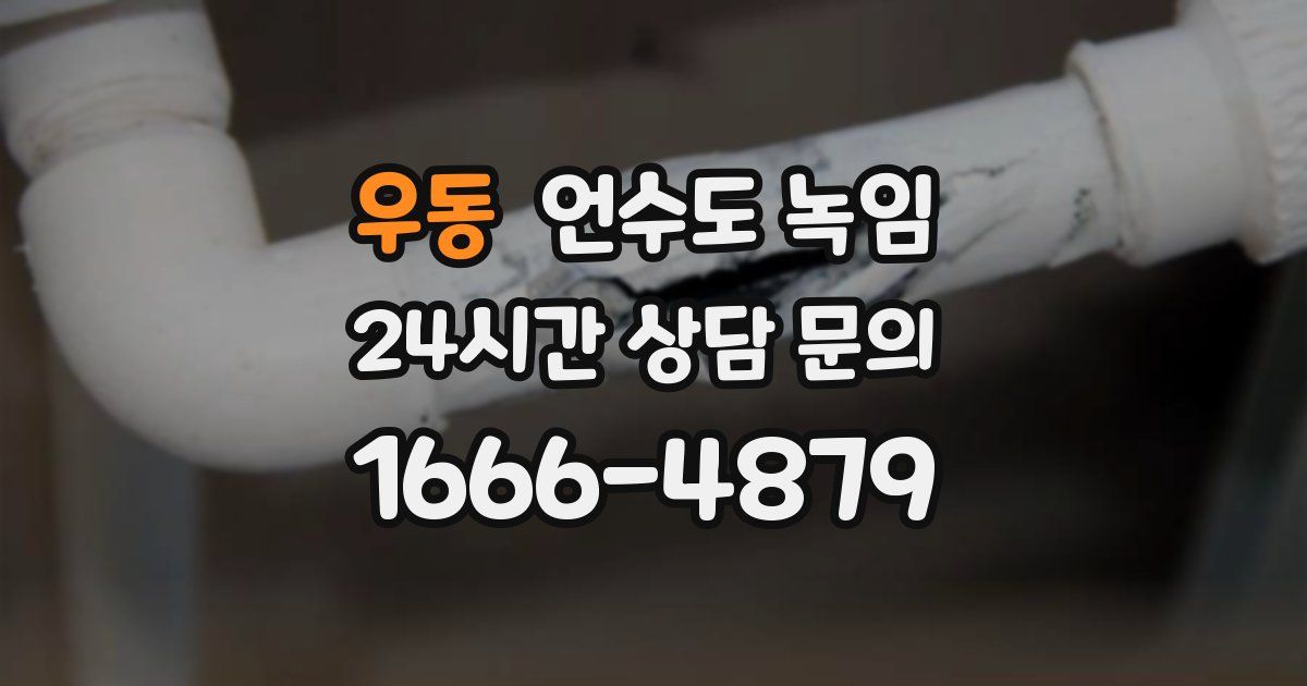 우동 언수도 녹임